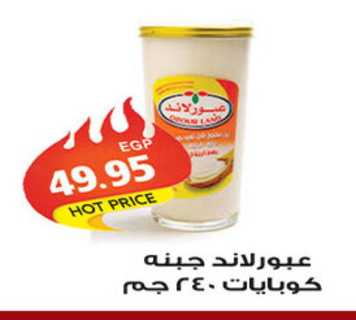 available at الجيزاوى ماركت in Egypt - القاهرة