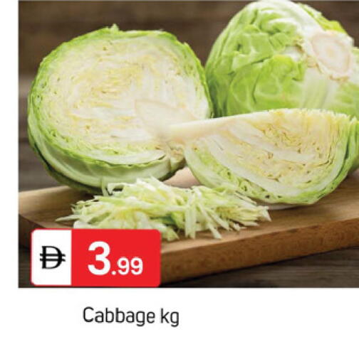 Cabbage available at سوق طلال in الإمارات العربية المتحدة , الامارات - دبي