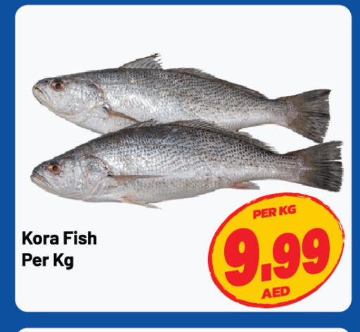 available at Dream Land in UAE - Sharjah / Ajman