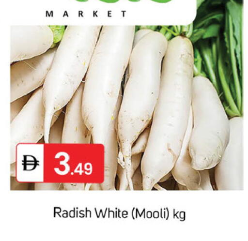 Radish available at سوق طلال in الإمارات العربية المتحدة , الامارات - دبي