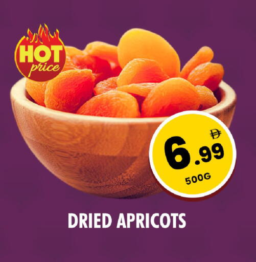 available at نايت تو نايت in الإمارات العربية المتحدة , الامارات - الشارقة / عجمان
