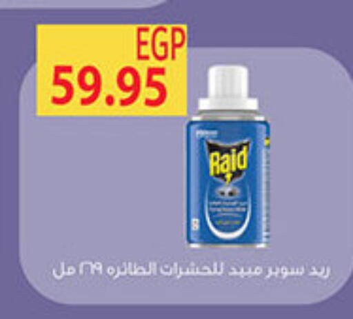 available at الجيزاوى ماركت in Egypt - القاهرة