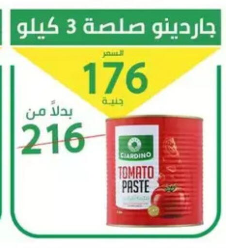 Tomato available at سوق العمدة in Egypt - القاهرة