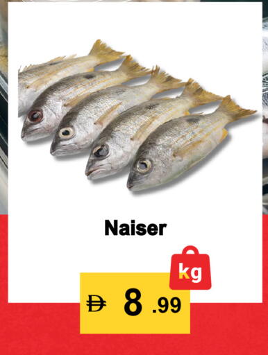 available at Best Coop Discounts Hypermarket in UAE - Dubai