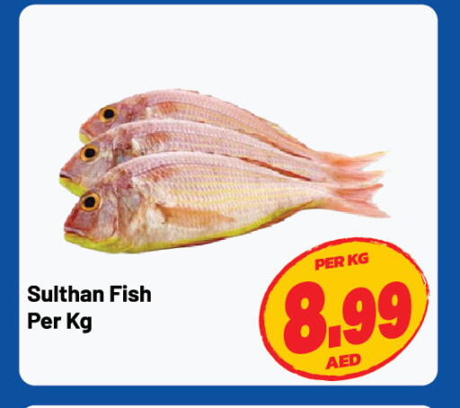 available at Dream Land in UAE - Sharjah / Ajman
