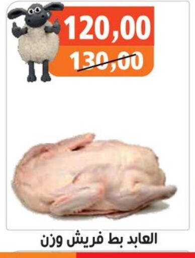 available at Hassan Son's in Egypt - Cairo