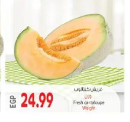 Cantaloupe available at ماركت بني الجديد in Egypt - القاهرة