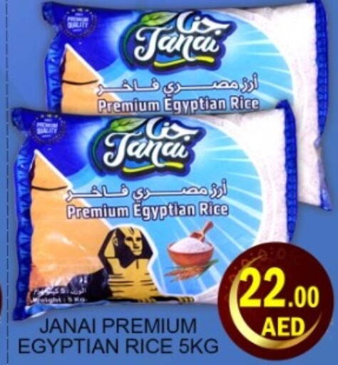 available at Green Gift Department Store in UAE - Dubai