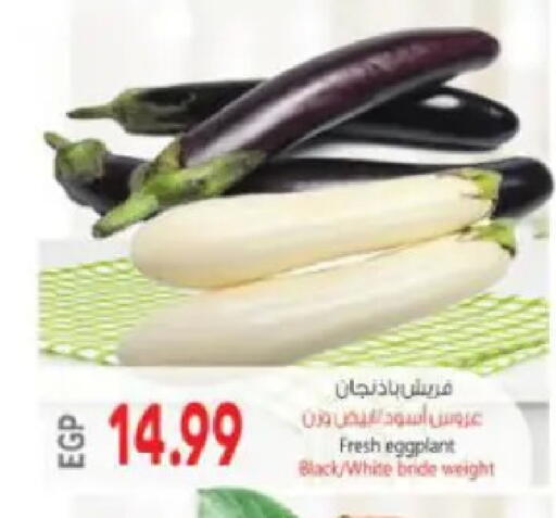 Eggplant available at ماركت بني الجديد in Egypt - القاهرة