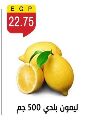 available at Ben Seleman in Egypt - Cairo