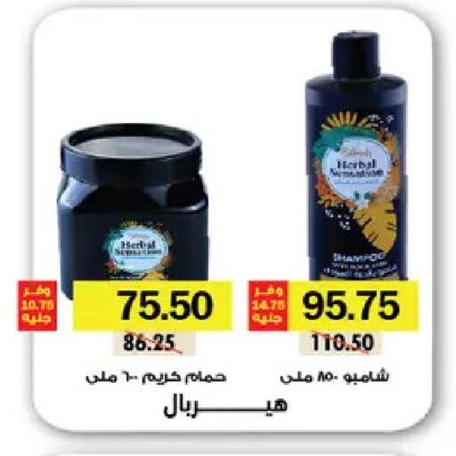 available at رويال هاوس in Egypt - القاهرة