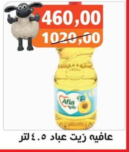 available at Hassan Son's in Egypt - Cairo