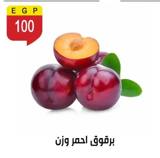 available at Ben Seleman in Egypt - Cairo