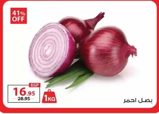 available at زهران ماركت in Egypt - القاهرة