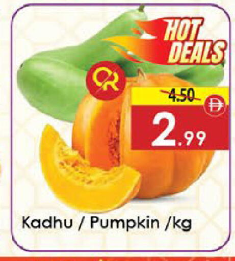 Pumpkin available at ايكو مول & ايكو هايبرماركت in الإمارات العربية المتحدة , الامارات - ٱلْعَيْن‎