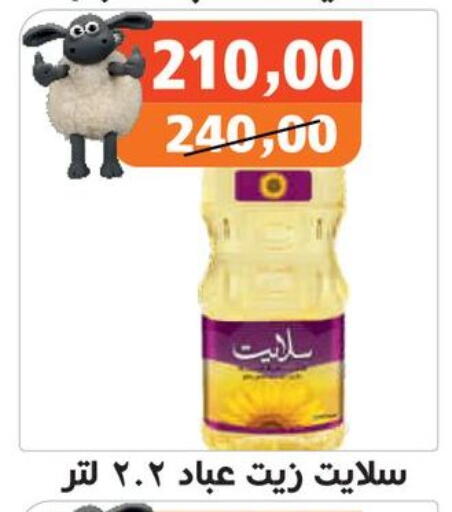 available at Hassan Son's in Egypt - Cairo