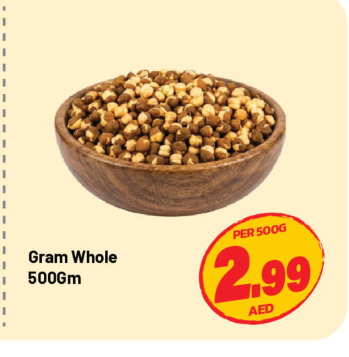 available at دريم لاند in الإمارات العربية المتحدة , الامارات - الشارقة / عجمان