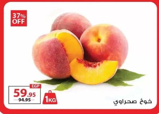 available at زهران ماركت in Egypt - القاهرة