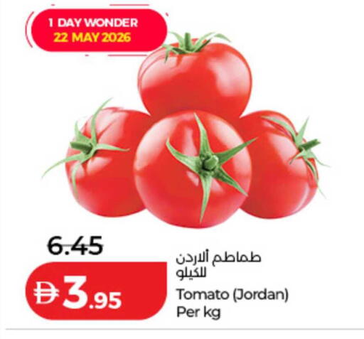 Tomato from Jordan available at Lulu Hypermarket in UAE - Dubai