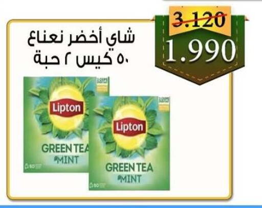 Mint available at  Al Adan And Al Qusor Co-Op in Kuwait - Ahmadi Governorate