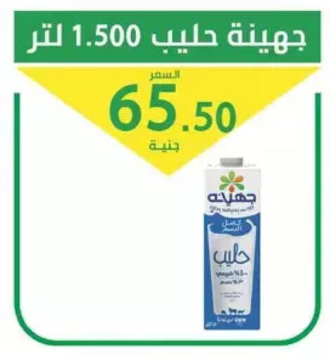 available at سوق العمدة in Egypt - القاهرة