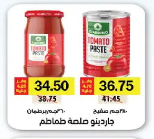 Tomato available at رويال هاوس in Egypt - القاهرة