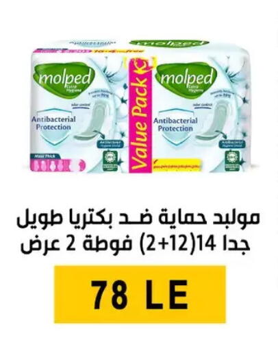 available at Ben Seleman in Egypt - Cairo