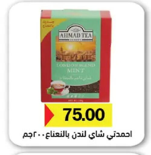 Mint available at رويال هاوس in Egypt - القاهرة