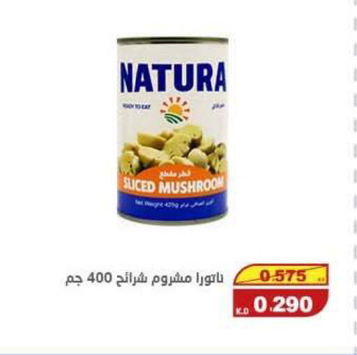 Mushroom available at السوق المركزي للعاملين بوزارة الداخلية in الكويت - مدينة الكويت
