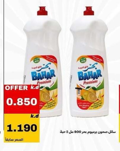 available at Daiya Society in Kuwait - Ahmadi Governorate