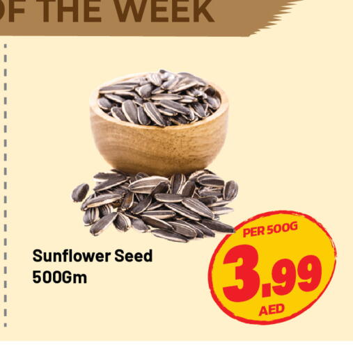 available at دريم لاند in الإمارات العربية المتحدة , الامارات - الشارقة / عجمان
