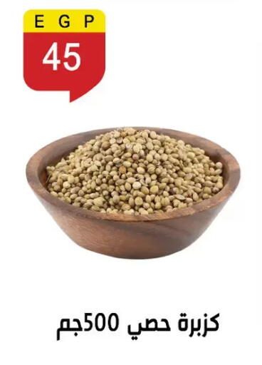 available at Ben Seleman in Egypt - Cairo
