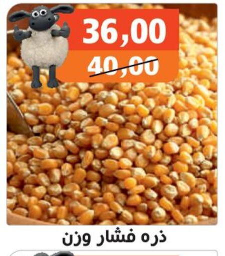 available at Hassan Son's in Egypt - Cairo