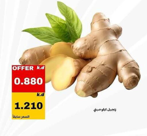 available at Daiya Society in Kuwait - Ahmadi Governorate