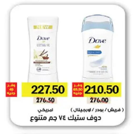 available at رويال هاوس in Egypt - القاهرة