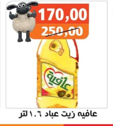 available at Hassan Son's in Egypt - Cairo