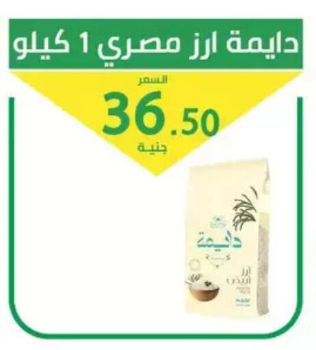 available at سوق العمدة in Egypt - القاهرة
