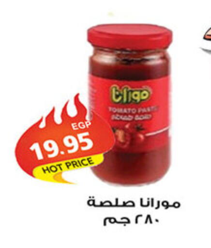 Tomato available at الجيزاوى ماركت in Egypt - القاهرة