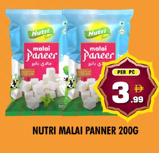 available at NIGHT TO NIGHT DEPARTMENT STORE in UAE - Dubai