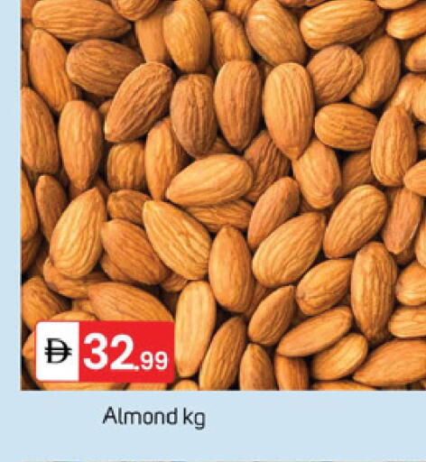 available at سوق طلال in الإمارات العربية المتحدة , الامارات - دبي