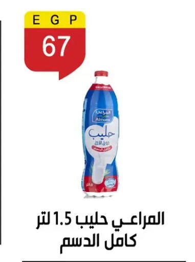 available at Ben Seleman in Egypt - Cairo