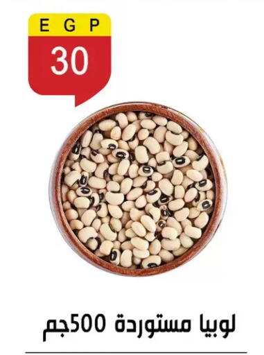 available at Ben Seleman in Egypt - Cairo