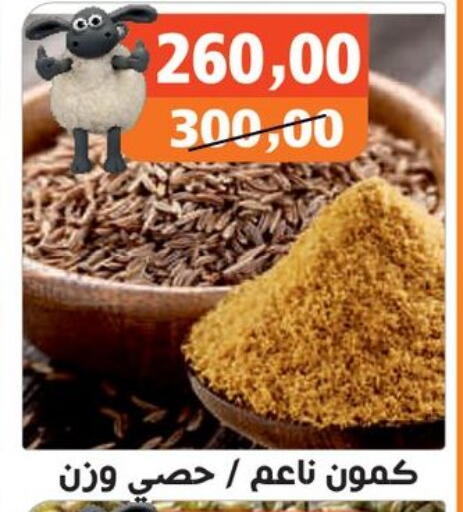 available at Hassan Son's in Egypt - Cairo