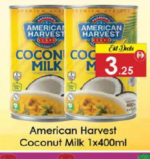 Coconut available at ايكو مول & ايكو هايبرماركت in الإمارات العربية المتحدة , الامارات - ٱلْعَيْن‎