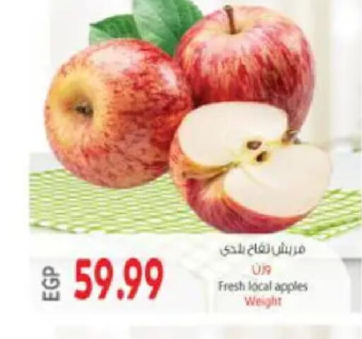 available at ماركت بني الجديد in Egypt - القاهرة