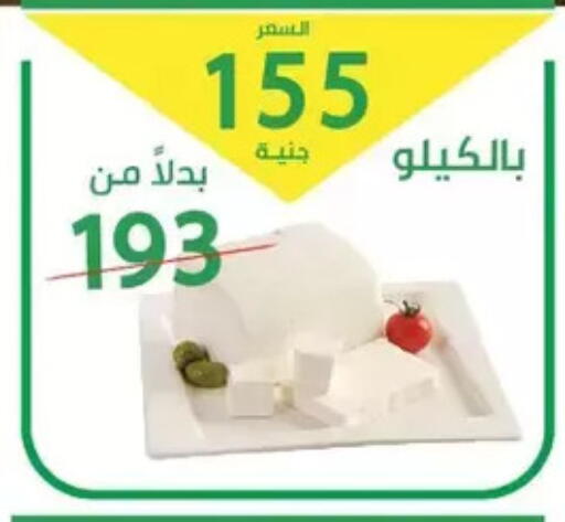 available at Elomda Market  in Egypt - Cairo