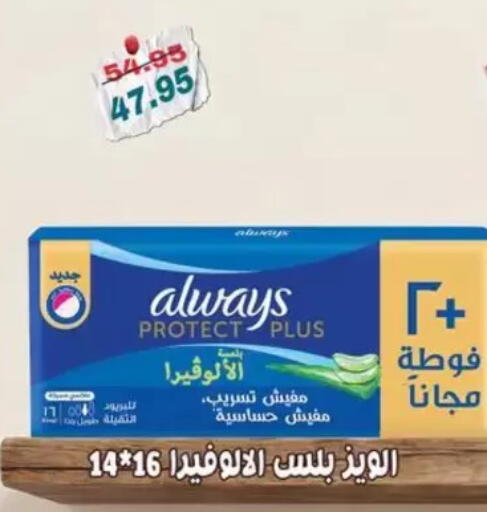 available at Abu Saleh Dairy Market in Egypt - Cairo