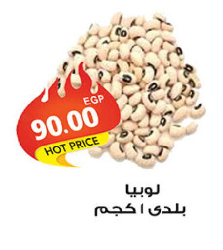 available at الجيزاوى ماركت in Egypt - القاهرة