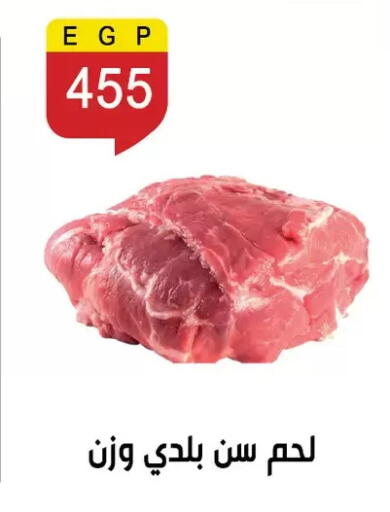 available at Ben Seleman in Egypt - Cairo