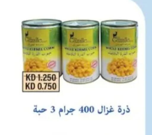 available at Hadiya CO-OP Society in Kuwait - Ahmadi Governorate